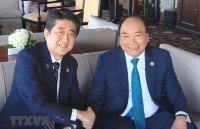 vietnam japan enjoy sound strategic relations deputy pm