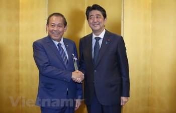 Vietnam, Japan enjoy sound strategic relations: Deputy PM