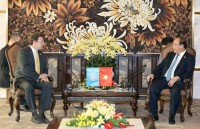 asean worries about rise in violations against children vietnamese diplomat