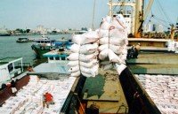 auspicious start to vietnamese rice export in 2018