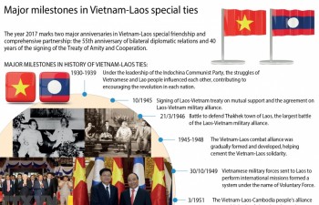 [Infographic] Major milestones in Vietnam-Laos ties