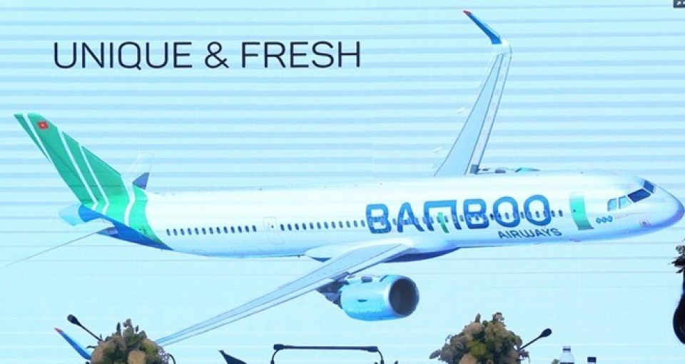 bamboo airways given approval for investment