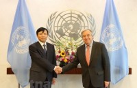ambassador highlights vietnams contributions to un