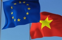 vietnams economy stays positive amid global growth slowdown pm
