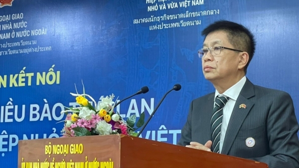 Businesses of overseas Vietnamese are emissaries launching Vietnamese products to the world