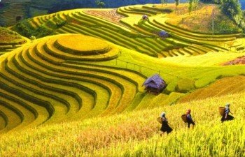 Sapa named among the 50 most beautiful places on the planet