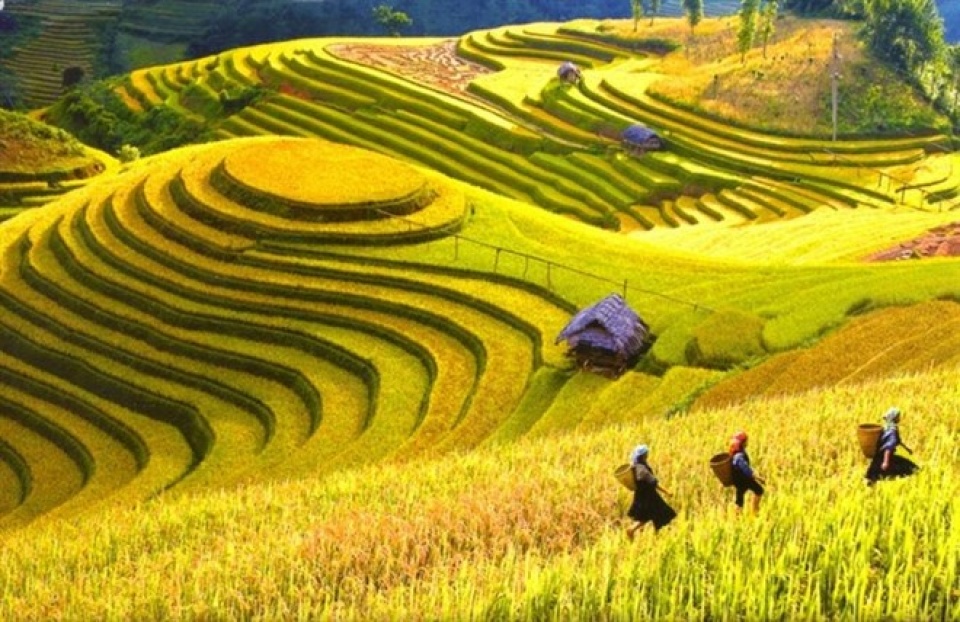 sapa named among the 50 most beautiful places on the planet