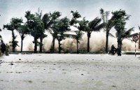 overseas vietnamese in laos help disaster victims