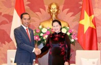vietnams top legislator meets with vice president of cuba
