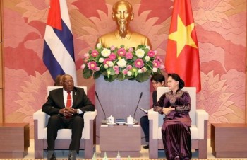 Vietnam’s top legislator meets with Vice President of Cuba