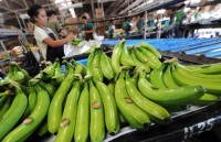 farm produce exports face roks rigid rules
