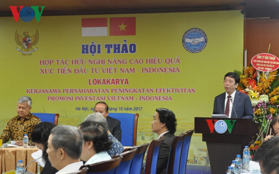 improving efficiency of vietnam indonesia investment promotion