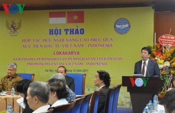 Improving efficiency of Vietnam – Indonesia investment promotion