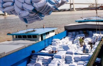 Vietnam targets US$2.5 billion in rice export revenues by 2030