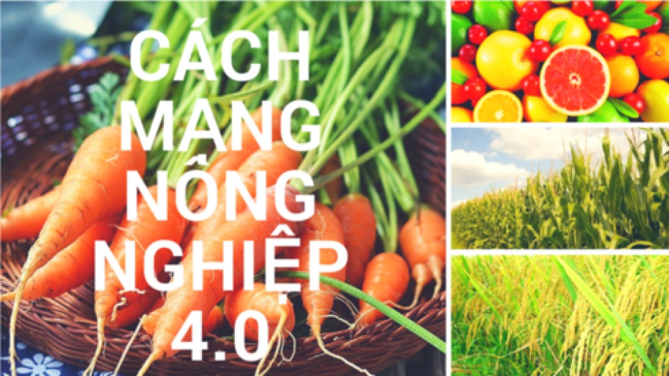vietnam boosts agriculture 40