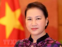vietnam ready to support cooperation with eurasian parliaments na chairwoman