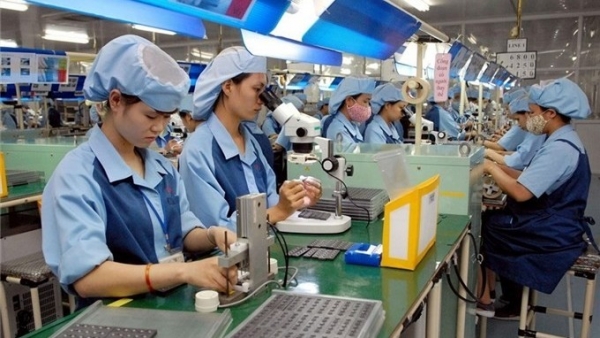 Vietnam economy to recover fast this year: UNDP representative