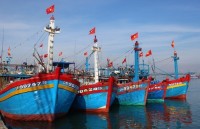 vietnam works hard to respond to ecs warning of iuu fishing
