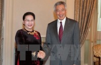 president hails vietnam singapore strategic partnership