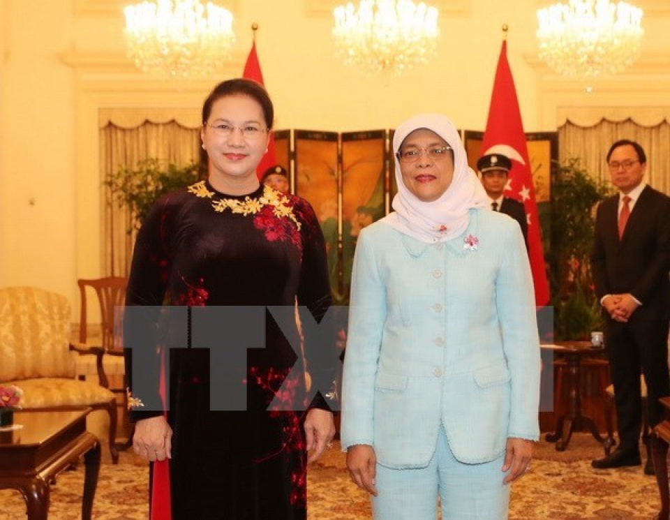 national assembly chairwoman meets singaporean president