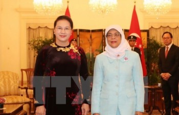 National Assembly Chairwoman meets Singaporean President