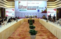 cptpp comes into effect for vietnam on january 14