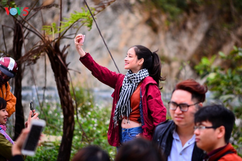 tourists flock to ha giang during buckwheat season