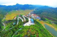 dozens of spring flower markets to be held in ha noi