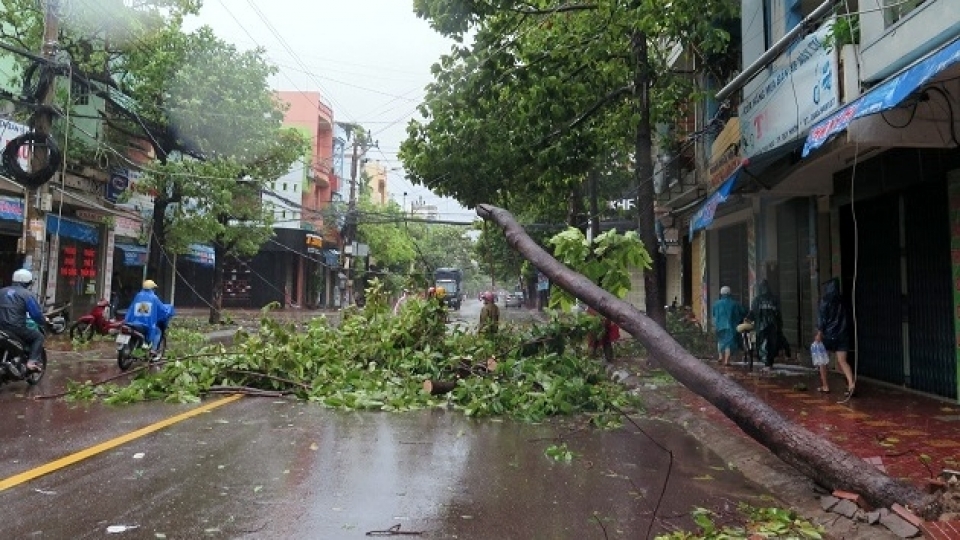vietnam calls for more support to disaster hit residents