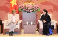 president welcomes new foreign ambassadors to vietnam