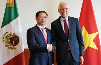 Vietnam, Mexico hold fifth political consultation