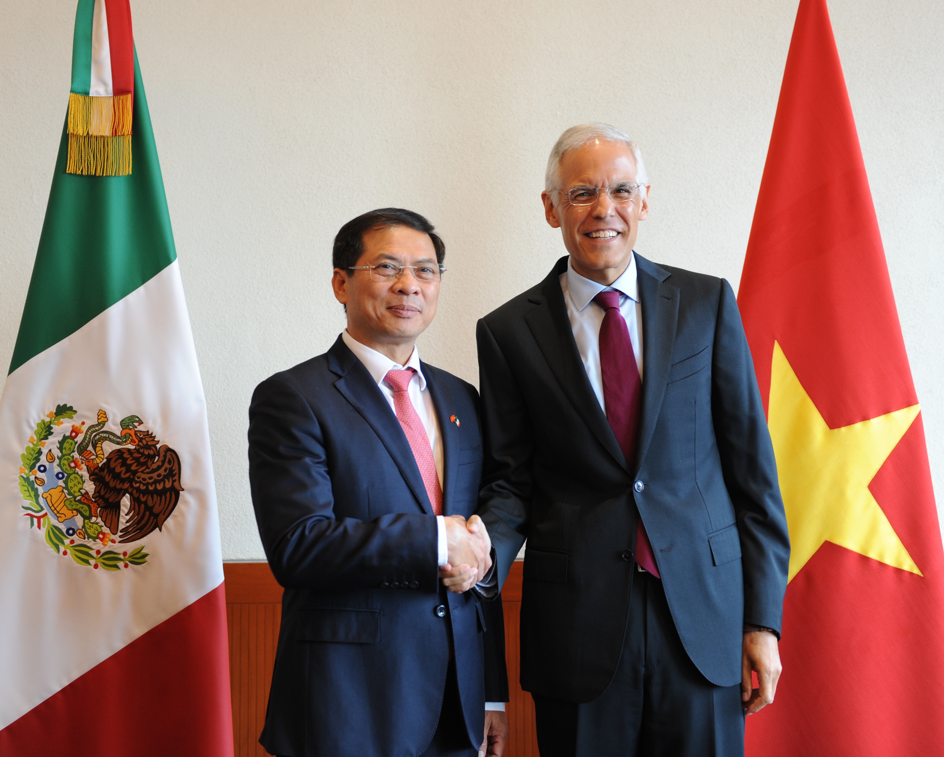 vietnam mexico hold fifth political consultation