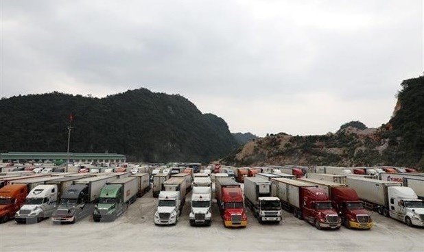 Ministries, localities tasked with handling cargo congestion. (Photo: VNA)