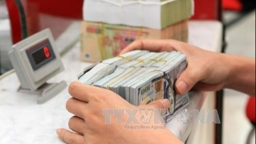 Overseas remittances to Viet Nam increase as Tet approaches