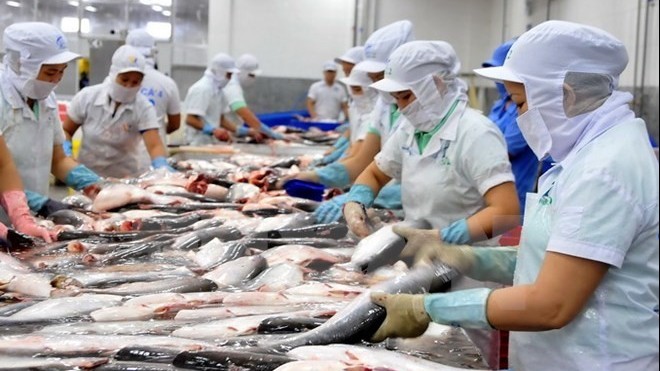 Tra fish exports predicted to hit 1.7 billion USD this year