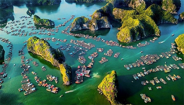 Vietnamese photographer wins gold at int’l photo contest RGB 2021