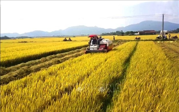 Agricultural sector continues to be economy's pillar in 2022