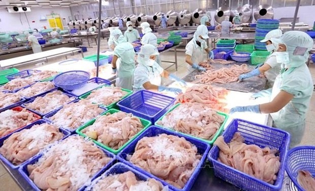 Vietnamese seafood sector to enjoy strong growth in 2021-2030: Report. (Photo: VNA)