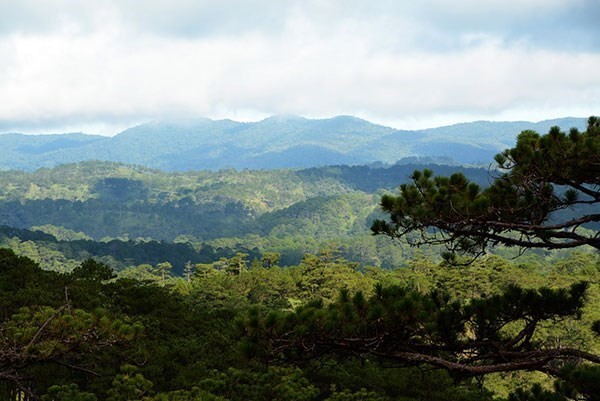 Exploring Langbiang - first biosphere reserve in Central Highlands. (Photo: baolamdong.vn)