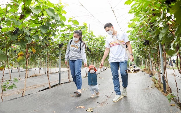 Ha Noi promotes eco-agriculture in combination with tourism