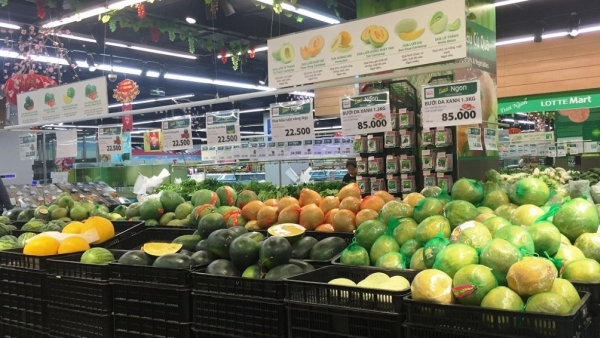 Fruit and vegetable exports enjoy positive signs in early 2022