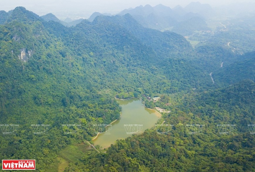 Cuc Phuong, Vietnam’s first national park, is situated in the Tam Diep Mountain Range, which spans over the territory of Ninh Binh, Hoa Binh, and Thanh Hoa provinces. (Photo: VNP/VNA)