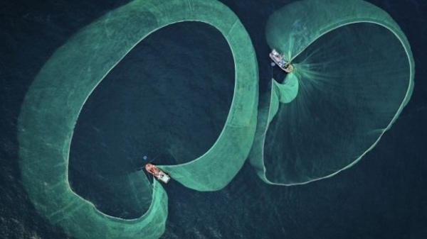Vietnamese photographer wins Underwater Photographer of the Year 2022 award