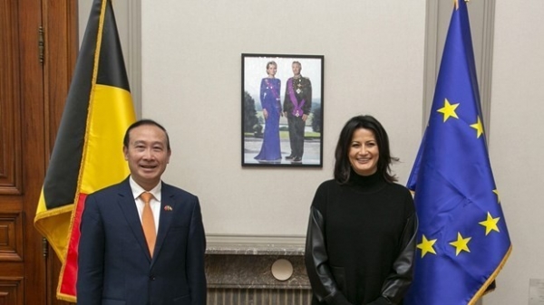 Room remains for Viet Nam-Belgium trade cooperation: Ambassador