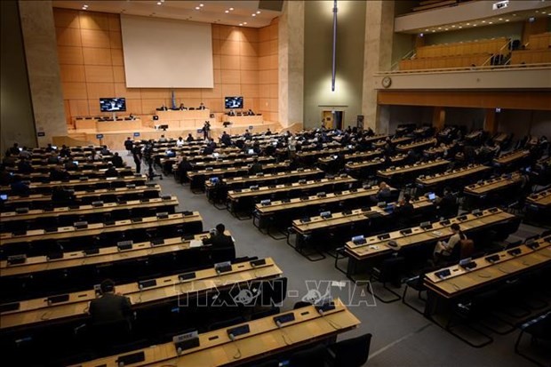 An overview of UNHRC's 43rd session (File photo: AFP/VNA)