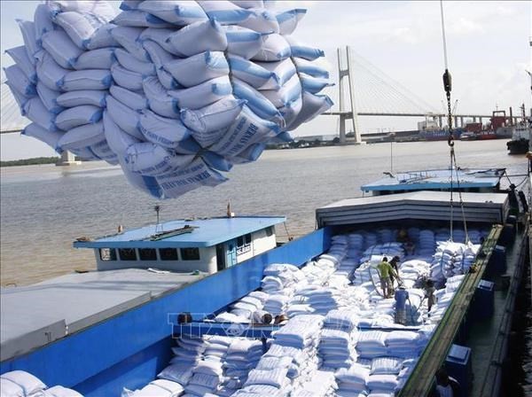 Vietnamese rice for export (Photo: VNA) Vietnamese rice for export (Photo: VNA)