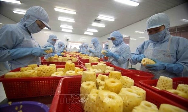 Russia’s demand for farm products would increase in the time ahead as the Russia-Ukraine war has led to a supply crunch. (Photo: VNA)