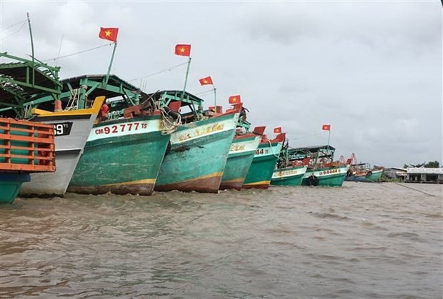 Ca Mau monitors fishing vessels going through estuaries. (Photo: VNA)