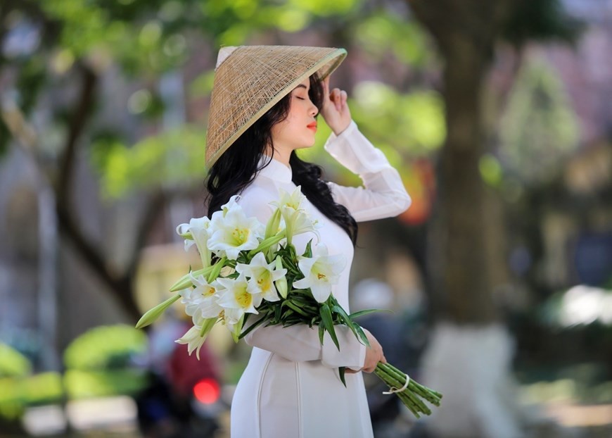 Easter lily shows off beauty on Ha Noi streets
