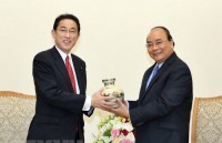 vietnamese staples to be introduced in japan